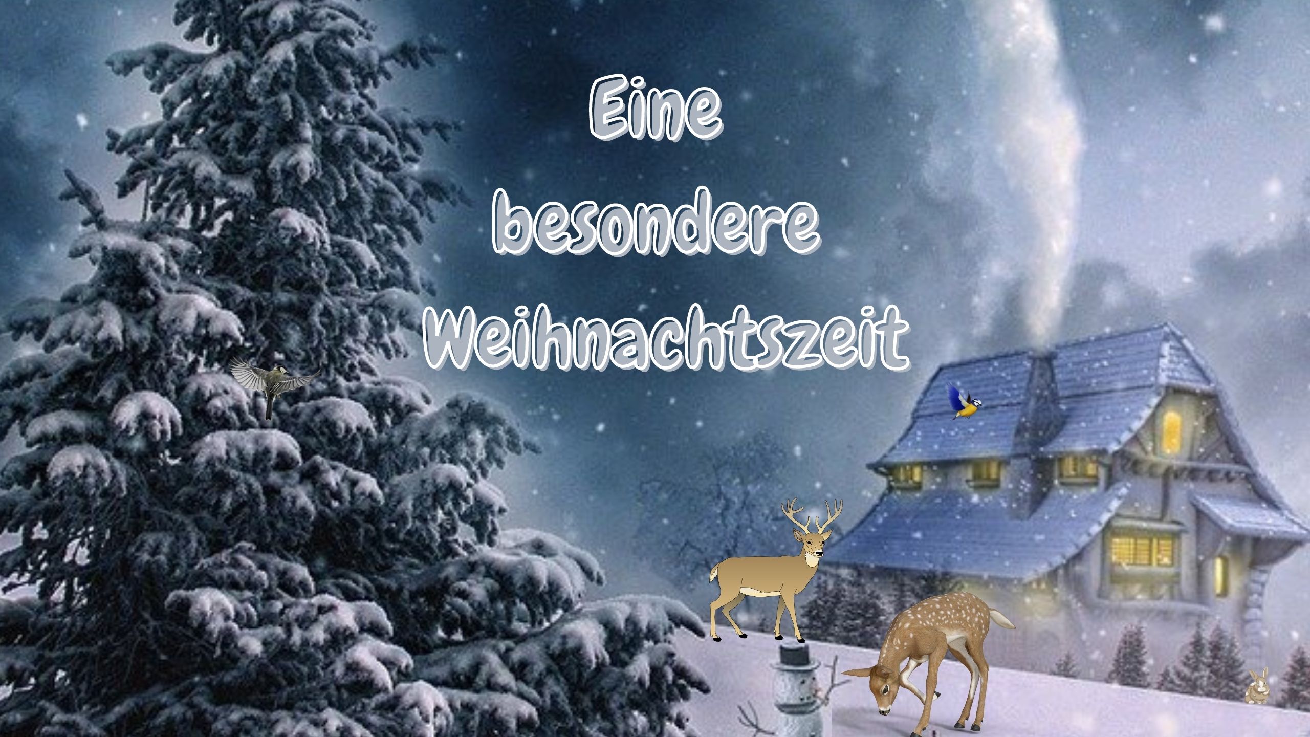 Read more about the article Eine besondere Weihnachtszeit – Weihnachtsgeschichte