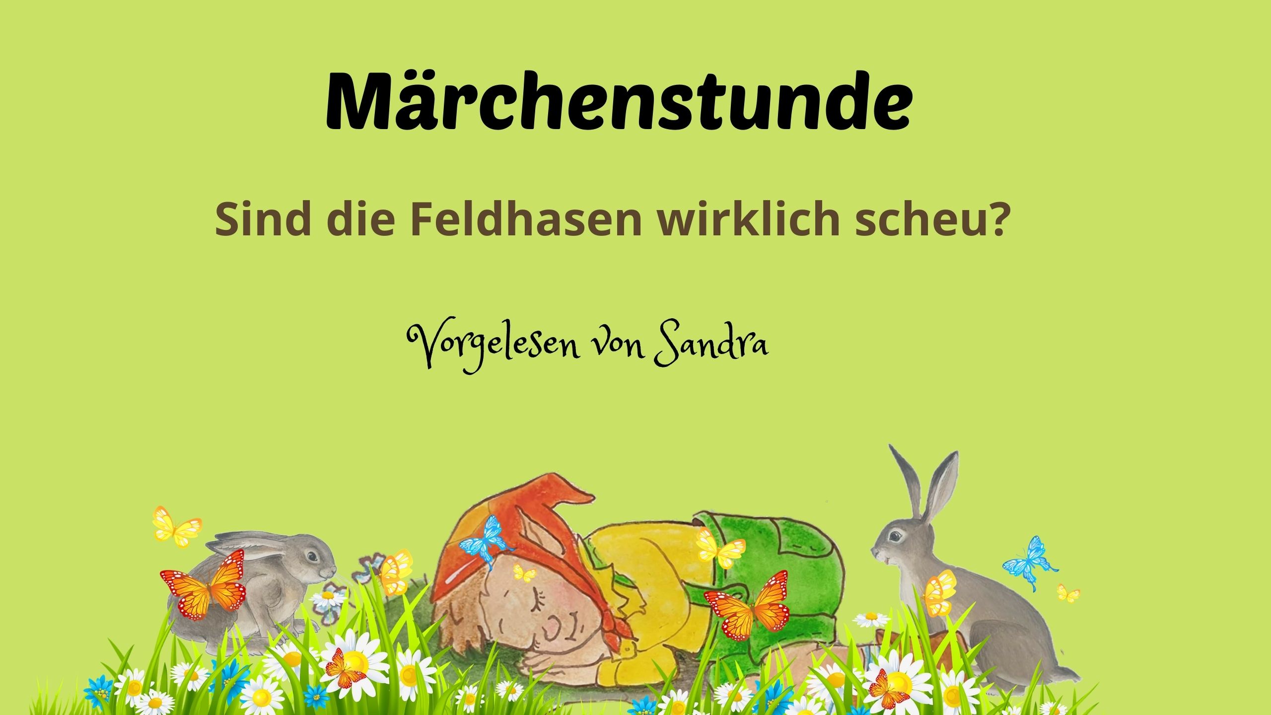 Read more about the article Märchenstunde mit Sandra – Sind die Feldhasen wirklich scheu? Audio